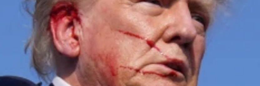 LET FREEDOM RING! Ultra MAGA! banner