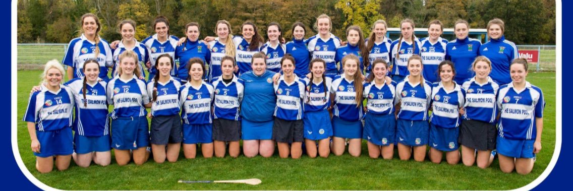 Thomastown Camogie banner