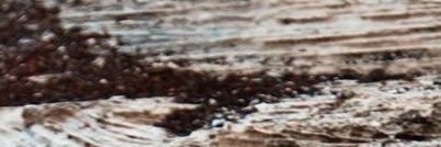 Kane_LCKT's profile banner image
