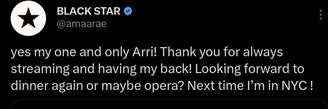 Vinyl Adventures BK🇵🇷🏳️‍🌈🏳️‍⚧️ banner