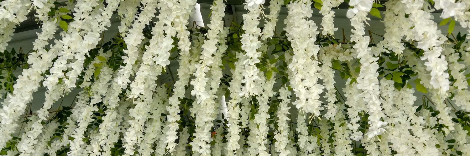 AnyangSoy's profile banner image