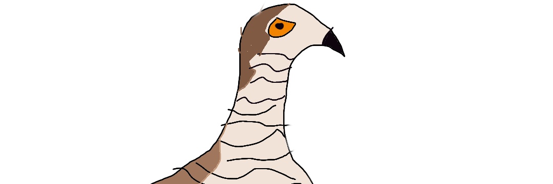arek00 banner
