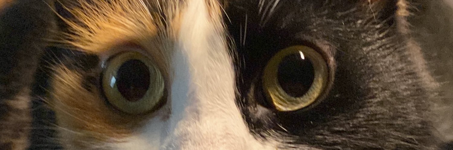 Nachoandres_20's profile banner image
