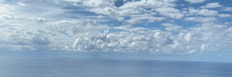 bii91h's profile banner image