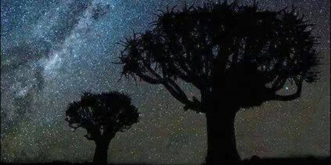 tunngss's profile banner image