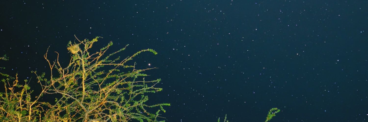 TailsUHD banner