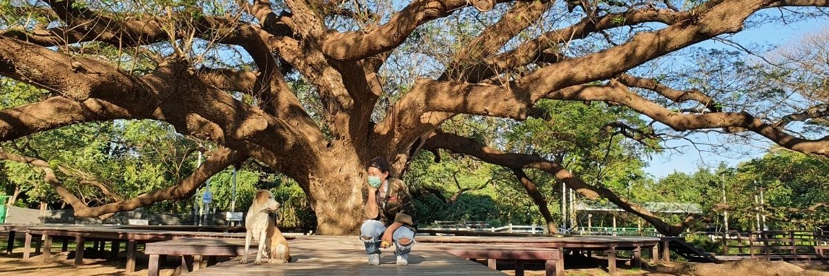 aug31am's profile banner image