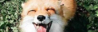xThatix's profile banner image