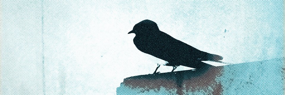 Atzur Produccions banner