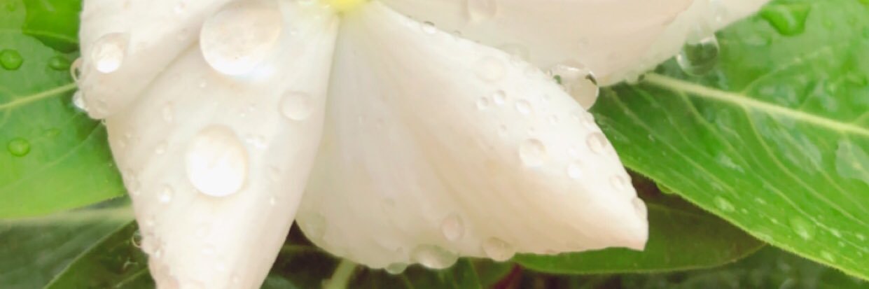 ••£ صاحبة مبدأ £•• banner