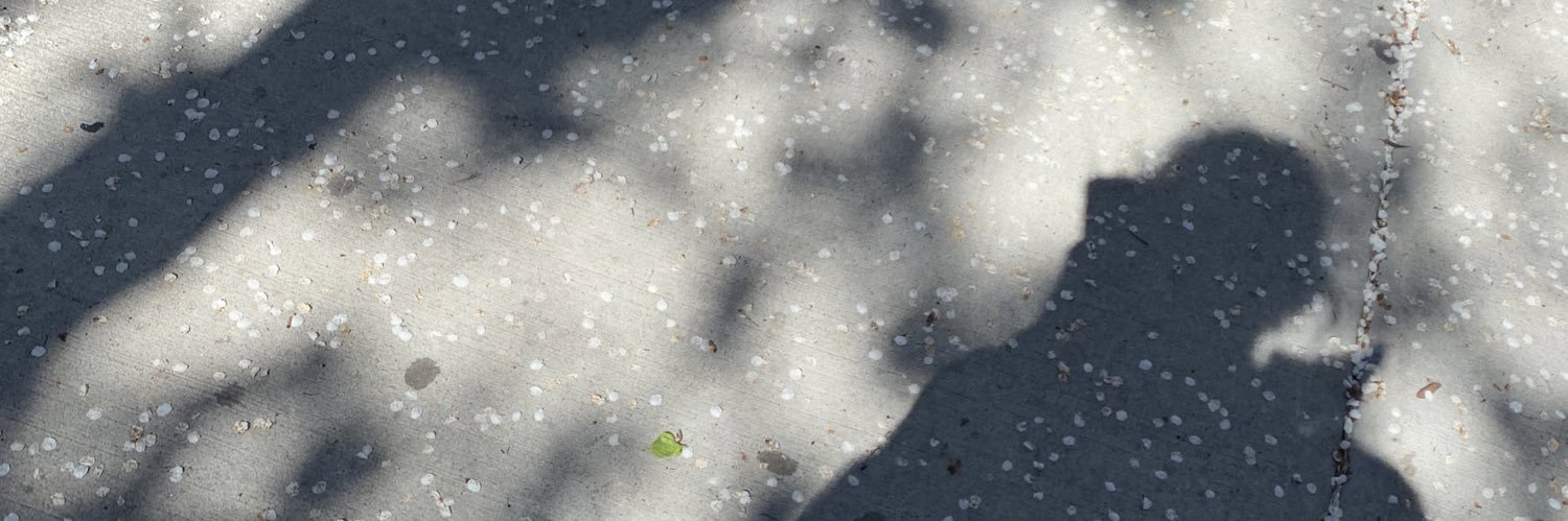 ashes615's profile banner image