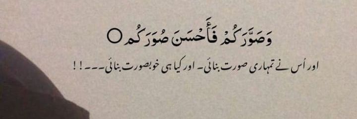 Seerat Fatima banner