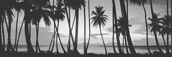 saikousocial's profile banner image