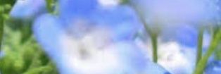 y_hepburn's profile banner image