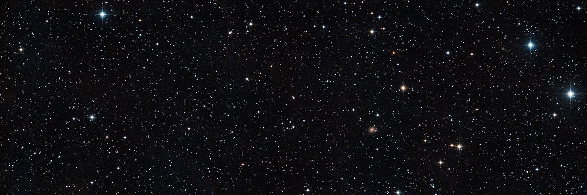 LimonTree's profile banner image