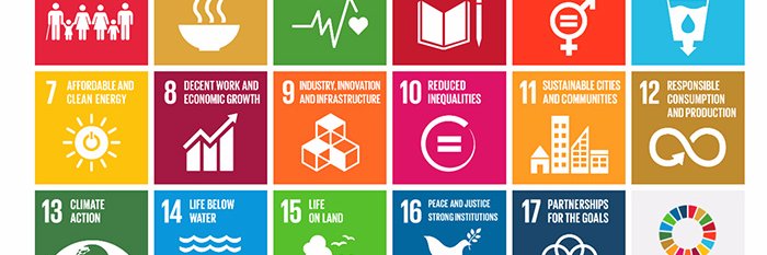 UN Sustainable Goals banner