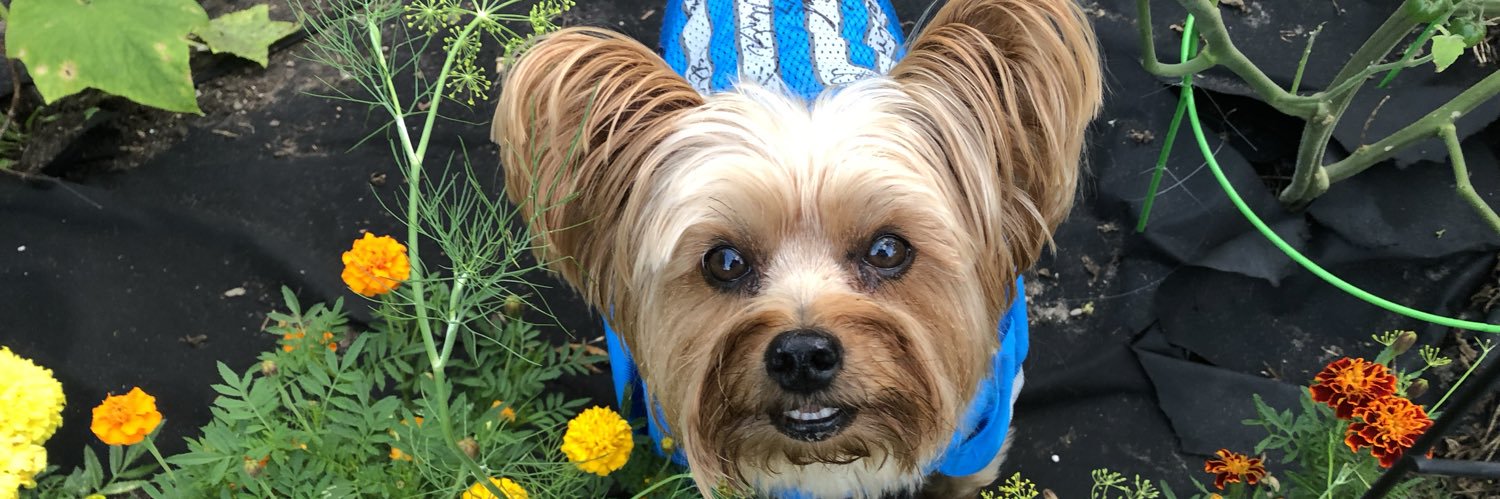 Michelle Kirkland 👩🏼‍🔬👩🏼‍🏫👩‍🌾 banner