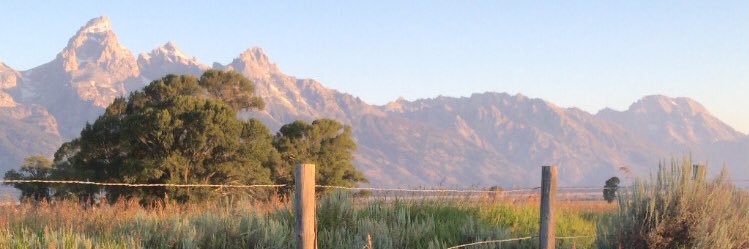elli_jacobson's profile banner image