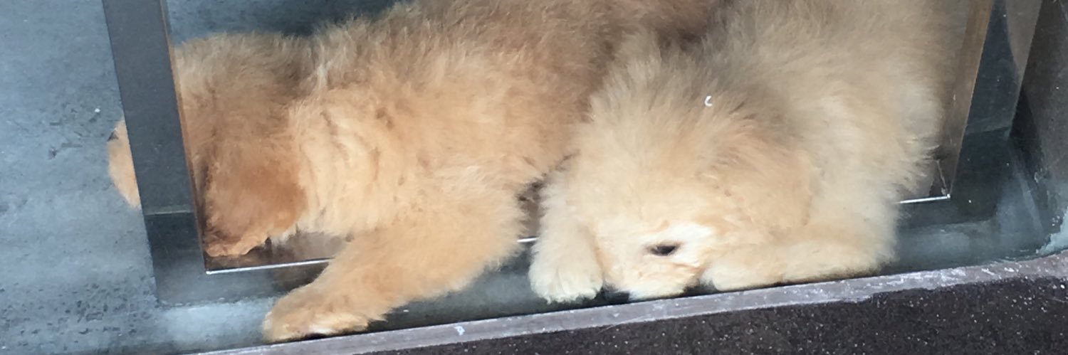 r8mem8's profile banner image