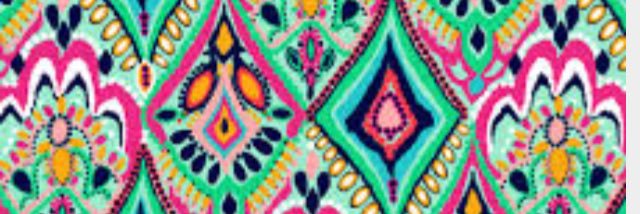 Hayley Merritt banner