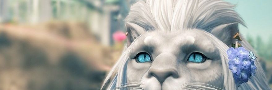diogray19's profile banner image
