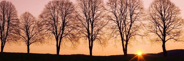 Jessieh0620 Profile Banner