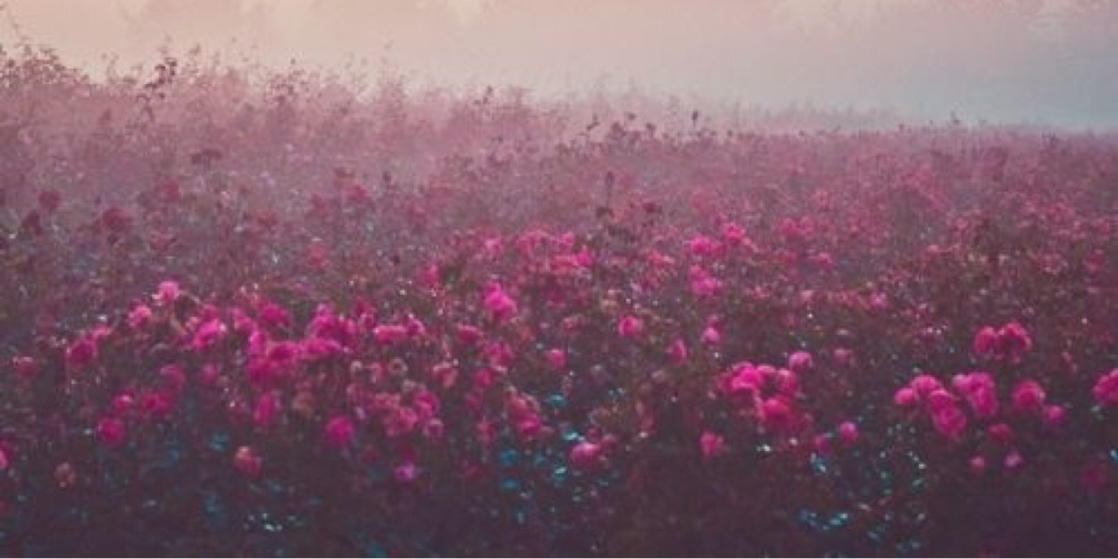 CheyaWenas's profile banner image