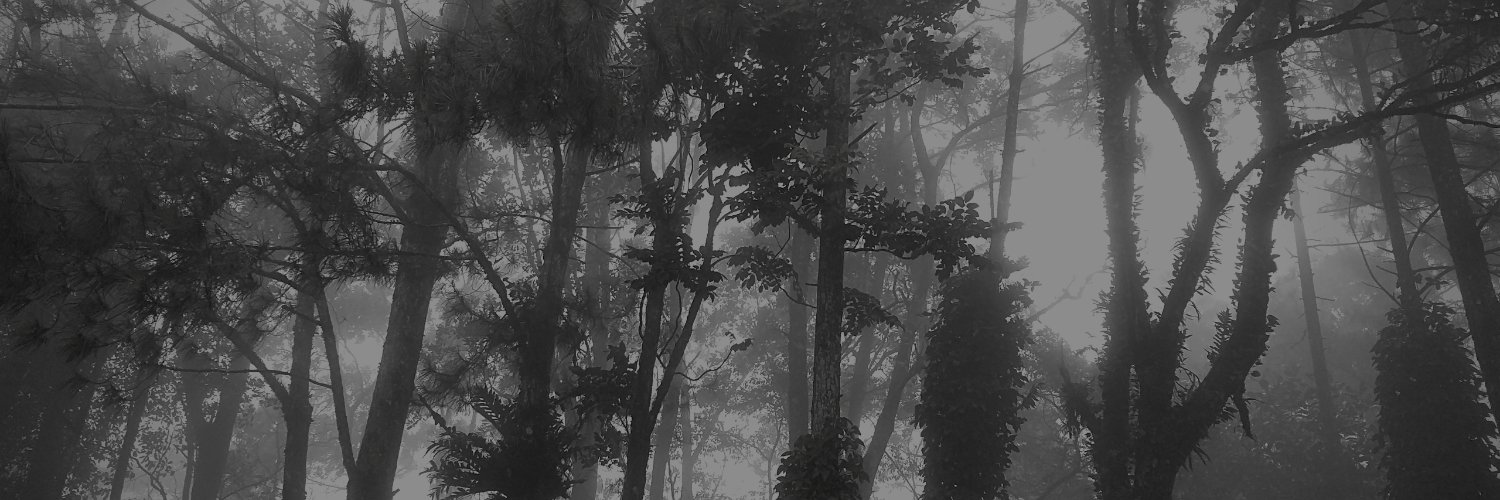 aracirslore's profile banner image