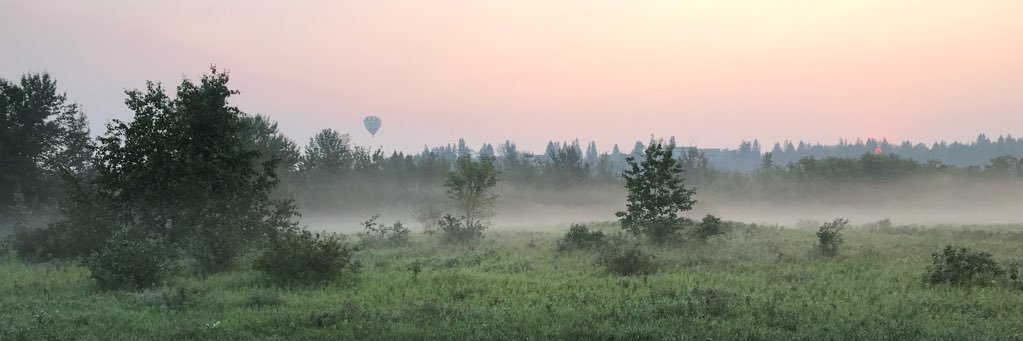 Devin Phillips banner