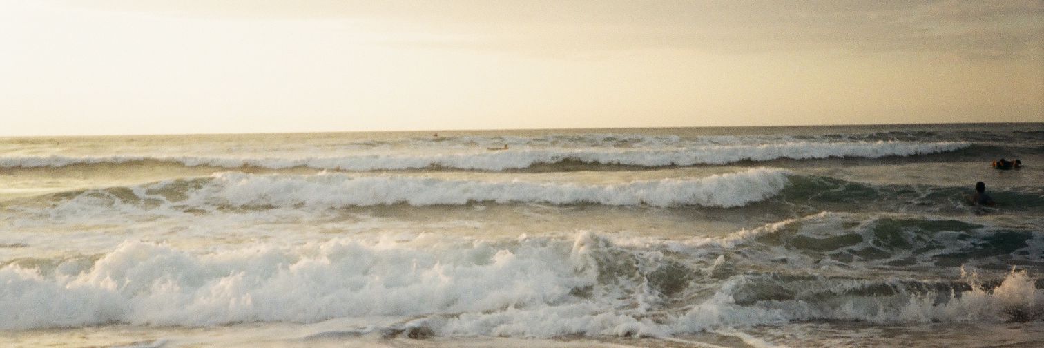 MillleyMouse's profile banner image