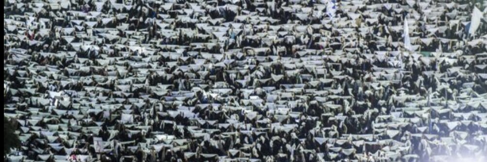 Vicki Flores Beltrán banner