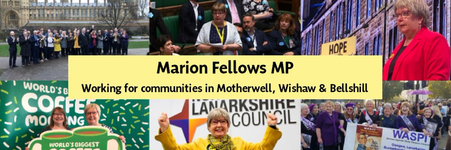 Marion Fellows MP Profile Banner