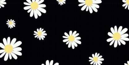 annisadill's profile banner image