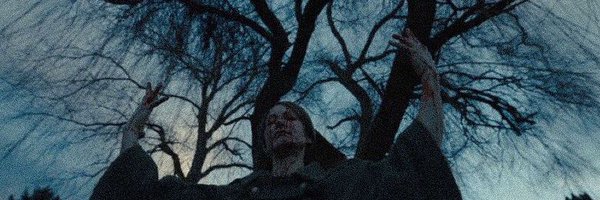 ThetrueDuckman Profile Banner