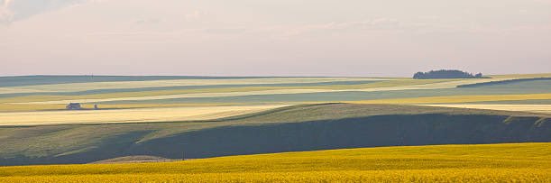 Kemtrup's banner