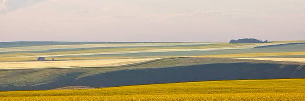 KemtrupTweets Profile Banner