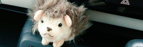 cross_jerry3's profile banner image