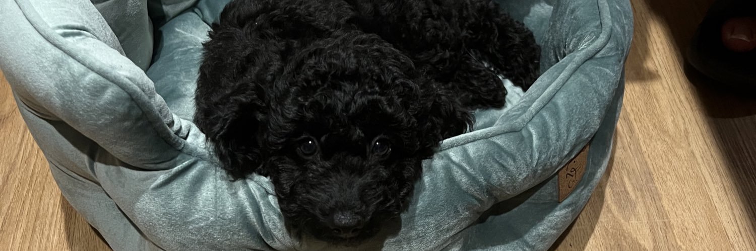 lucychickk's profile banner image