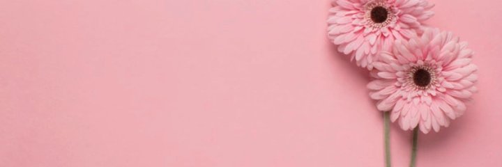 Brigitte Leal banner
