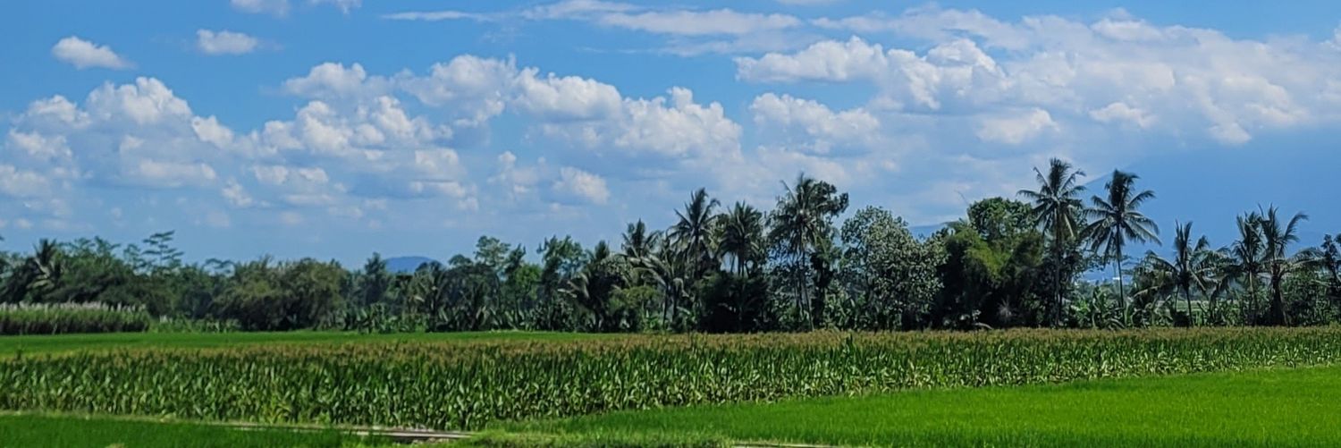 citralanndd's profile banner image