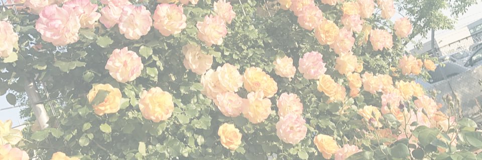 PinkRed0000's profile banner image