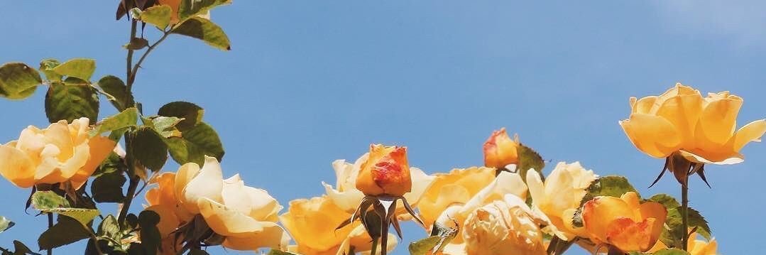 bxgpayno's profile banner image