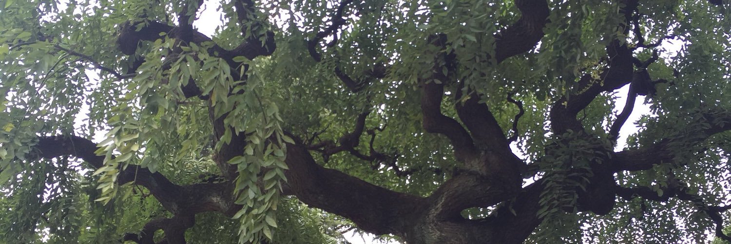 MackDeoneYu's profile banner image