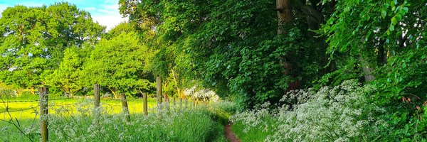 GillianLowes Profile Banner