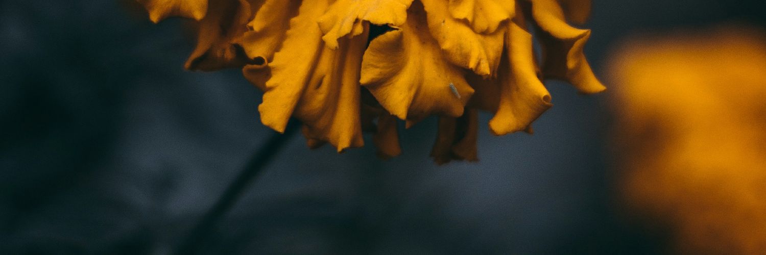 19Brian86's profile banner image