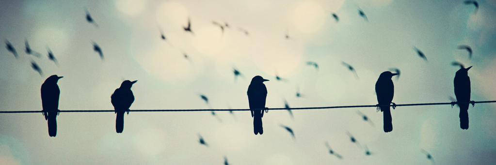 linnchord's profile banner image