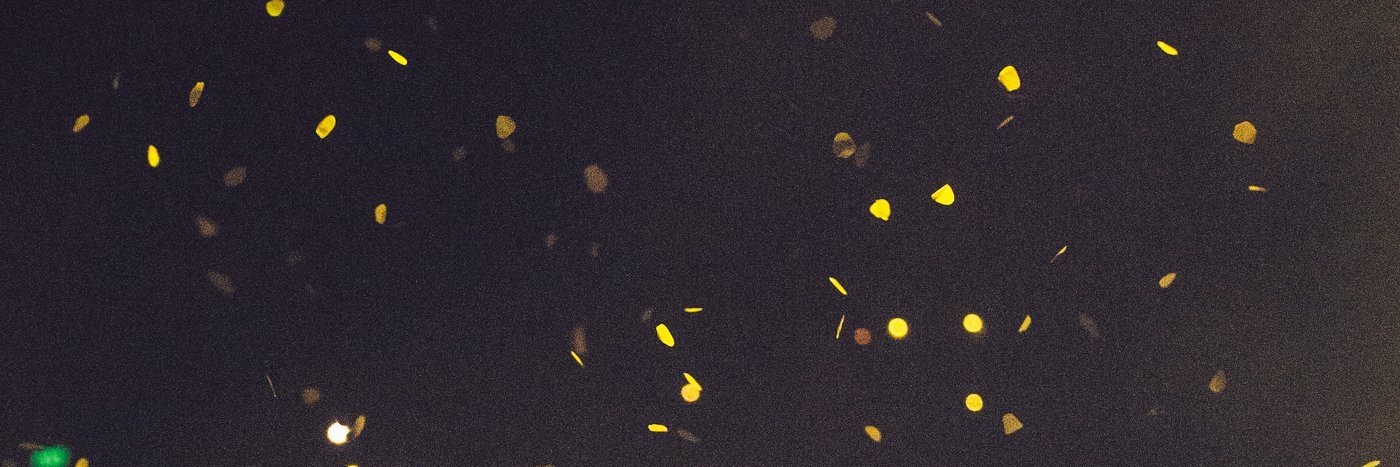 Alice_Rhine's profile banner image