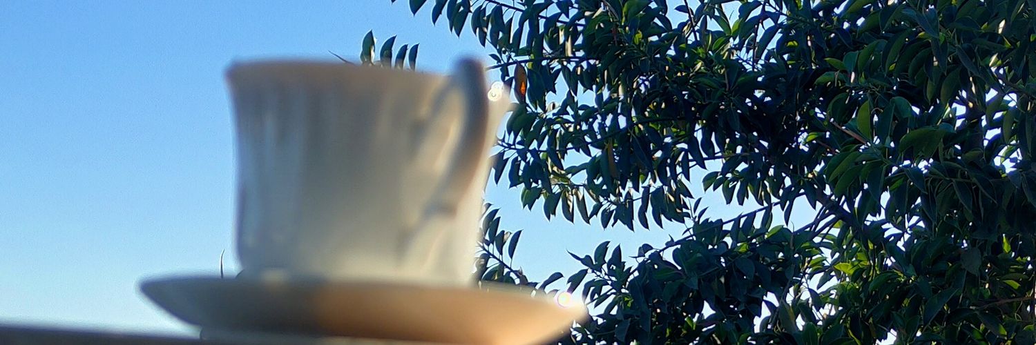 Mo0lly's profile banner image