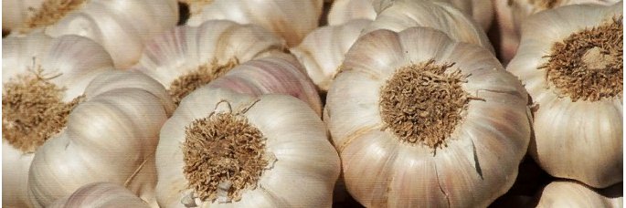 BerdOles's profile banner image