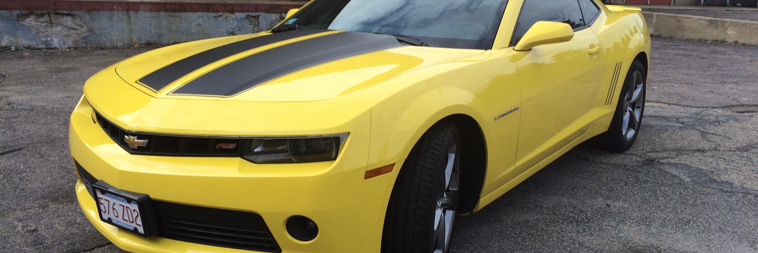 scott pickering banner